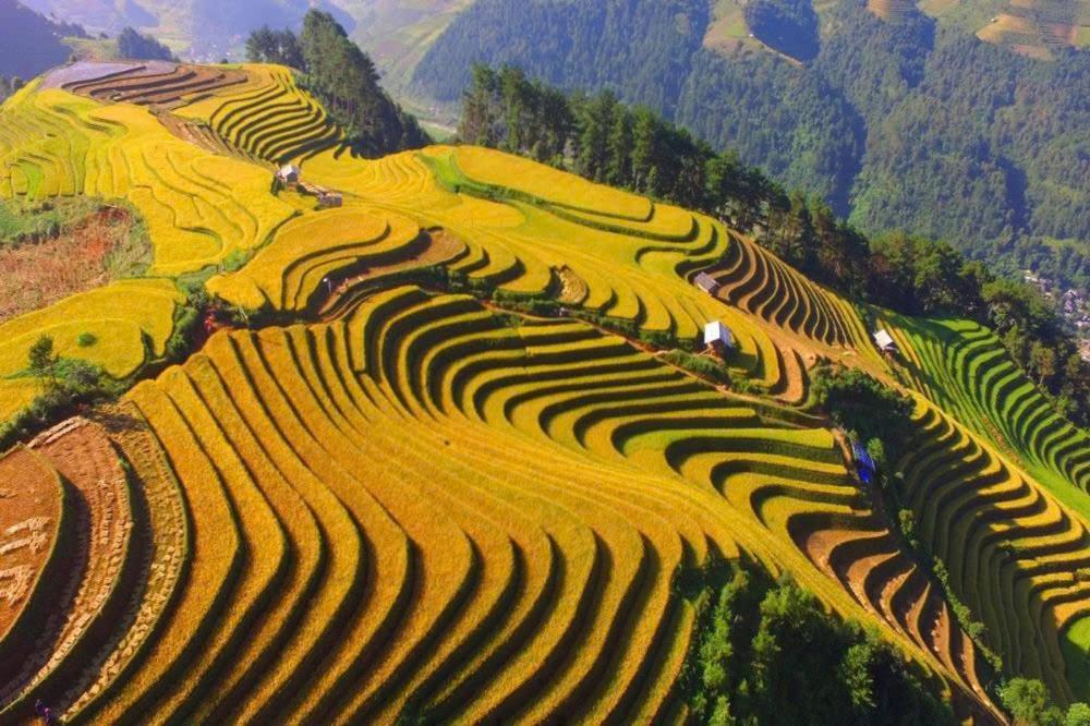Ha Giang Hotel Sapa Exterior photo